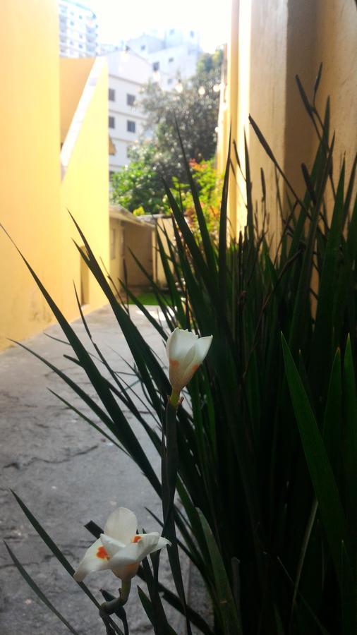 Olah Hostel - Vila Mariana ساو باولو المظهر الخارجي الصورة