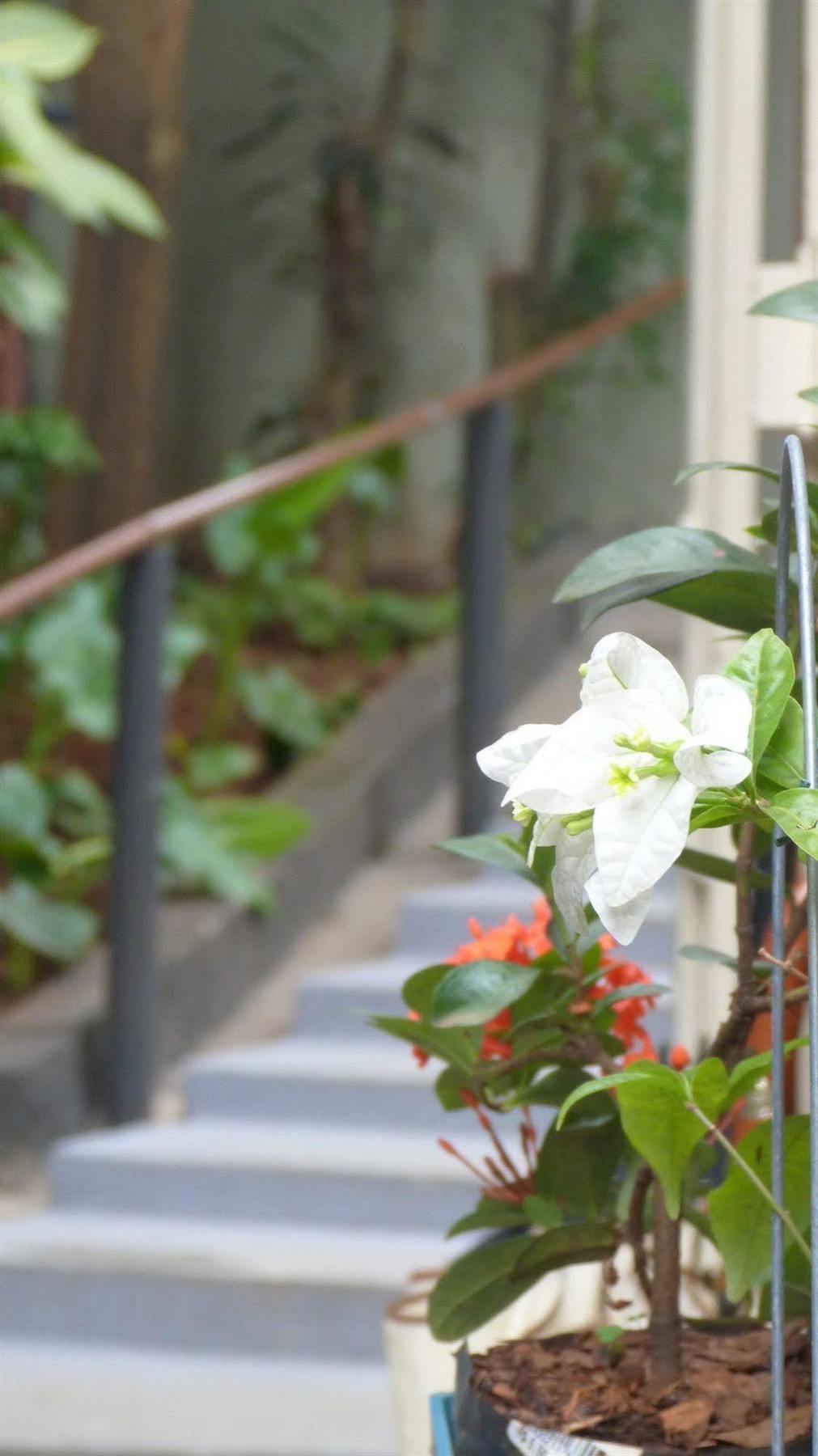 Olah Hostel - Vila Mariana ساو باولو المظهر الخارجي الصورة