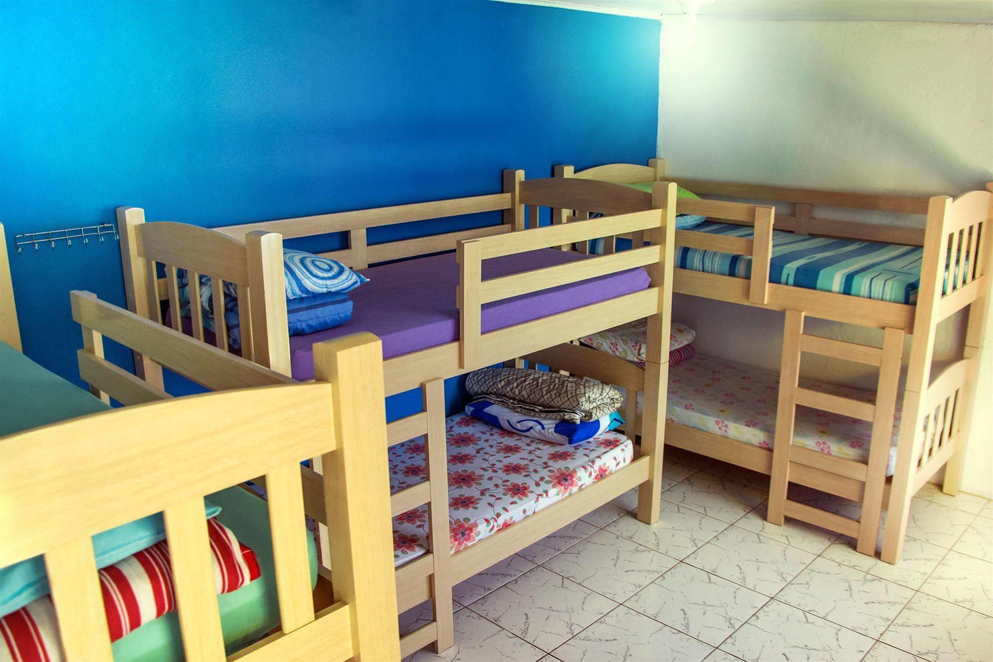 Olah Hostel - Vila Mariana ساو باولو المظهر الخارجي الصورة